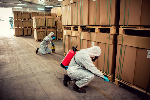 Best Affordable Pest Control Services  in Odon, IN
