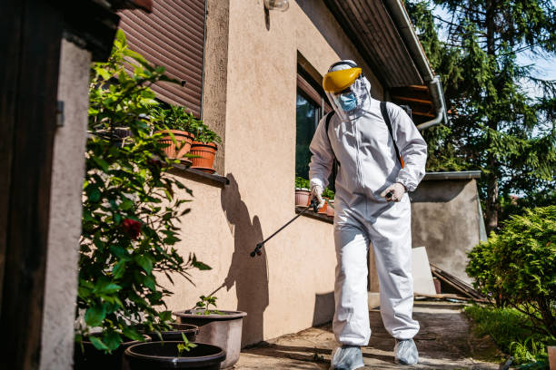 Flea Control Services in Odon, IN
