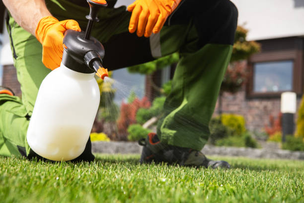 Best Residential Pest Control  in Odon, IN