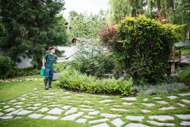 Trusted Odon, IN Pest Control Experts