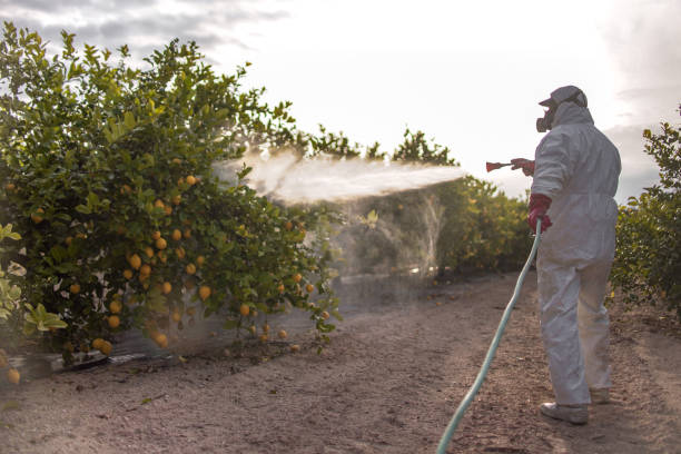 Best Pest Prevention Services  in Odon, IN